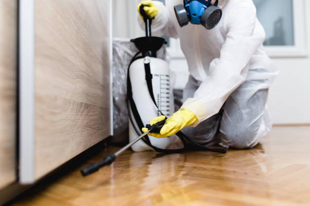 Best Termite Control Services  in Lockport, NY