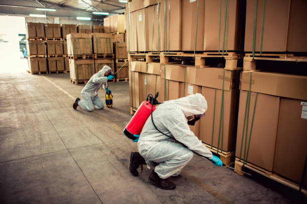 Best Wasp Removal Services  in Lockport, NY
