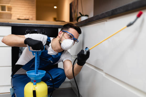 Best Bed Bug Extermination  in Lockport, NY