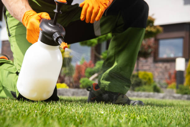 Best Mosquito Control Services  in Lockport, NY