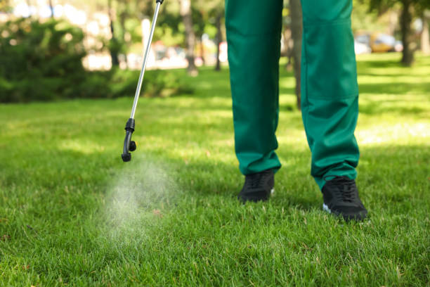 Best Pest Inspection Near Me  in Lockport, NY