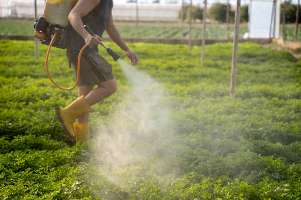Best Affordable Pest Control Services  in Lockport, NY