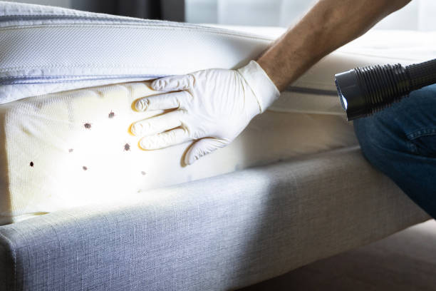 Pest Control Cost in Lockport, NY
