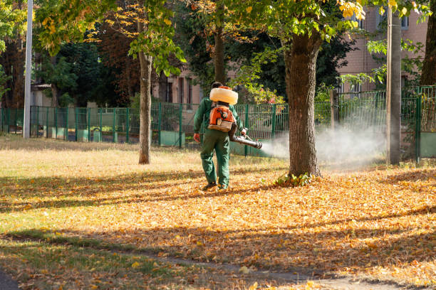 Best Exterminator Services  in Lockport, NY