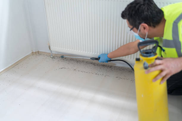 Best Insect Control  in Lockport, NY