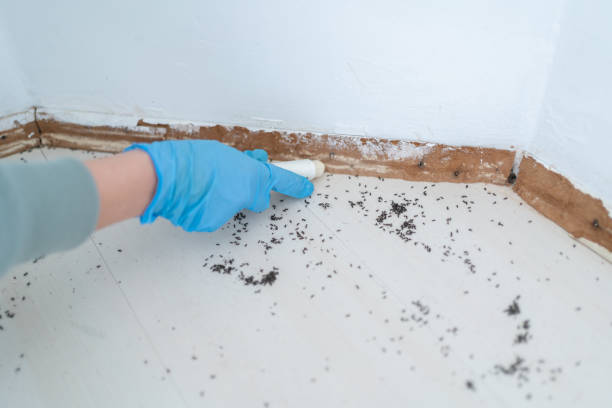 Best Pest Removal Services  in Lockport, NY