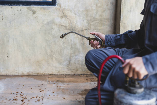Best Pest Control Cost  in Lockport, NY